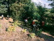 Bicycle Route - Tourist bicycle route around Pila