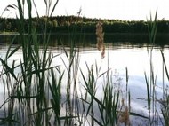 Jeleniowe Lake