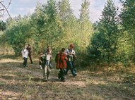 The wander among forests near Pila