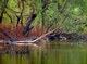 Trip: Narew-Wizna-Łomża
