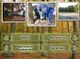 Tourism and Forest Education