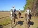 Horse youth camp