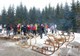 International Horn Sleigh Downhill Ride