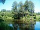 Drweca river