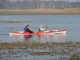 Kayak's flow down the Biebrza River 'following in Zygmunt Gloger's footsteps'