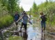 Marshes with adrenalin