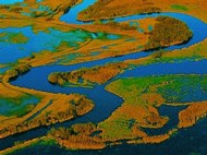 Biebrza kayak's flow