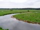 Narew River Valley