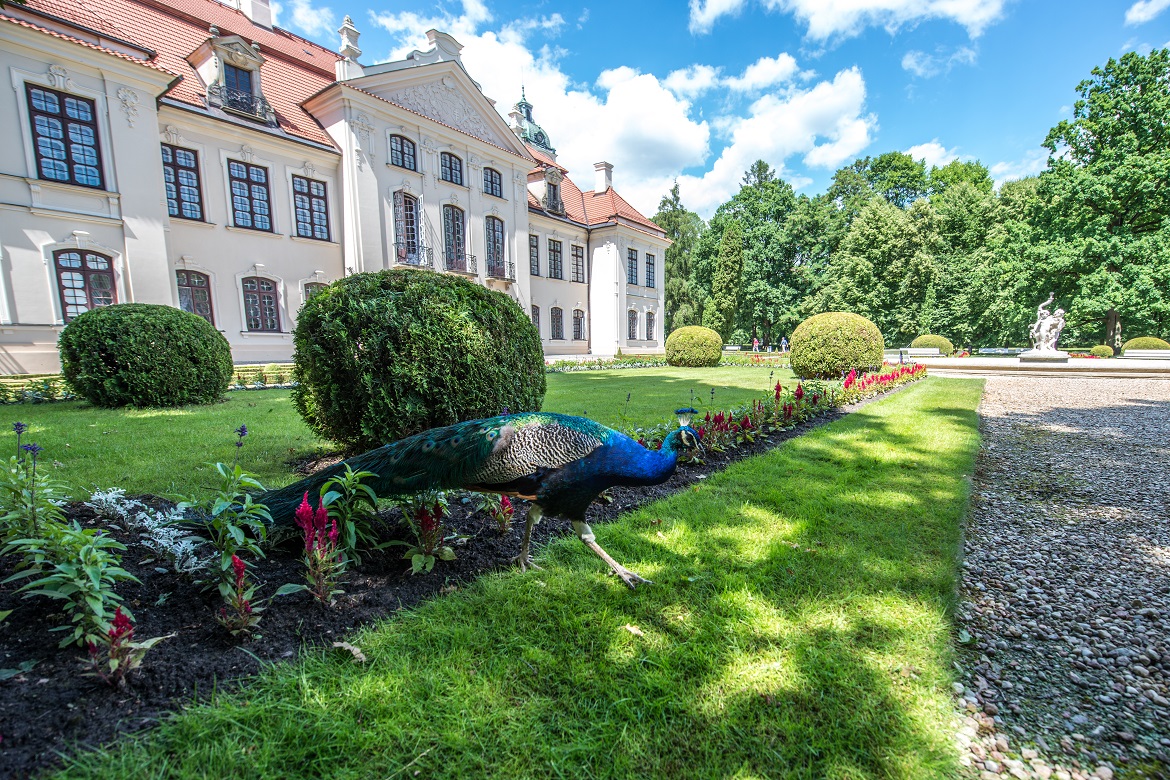 Park bij het paleis in Kozlowka