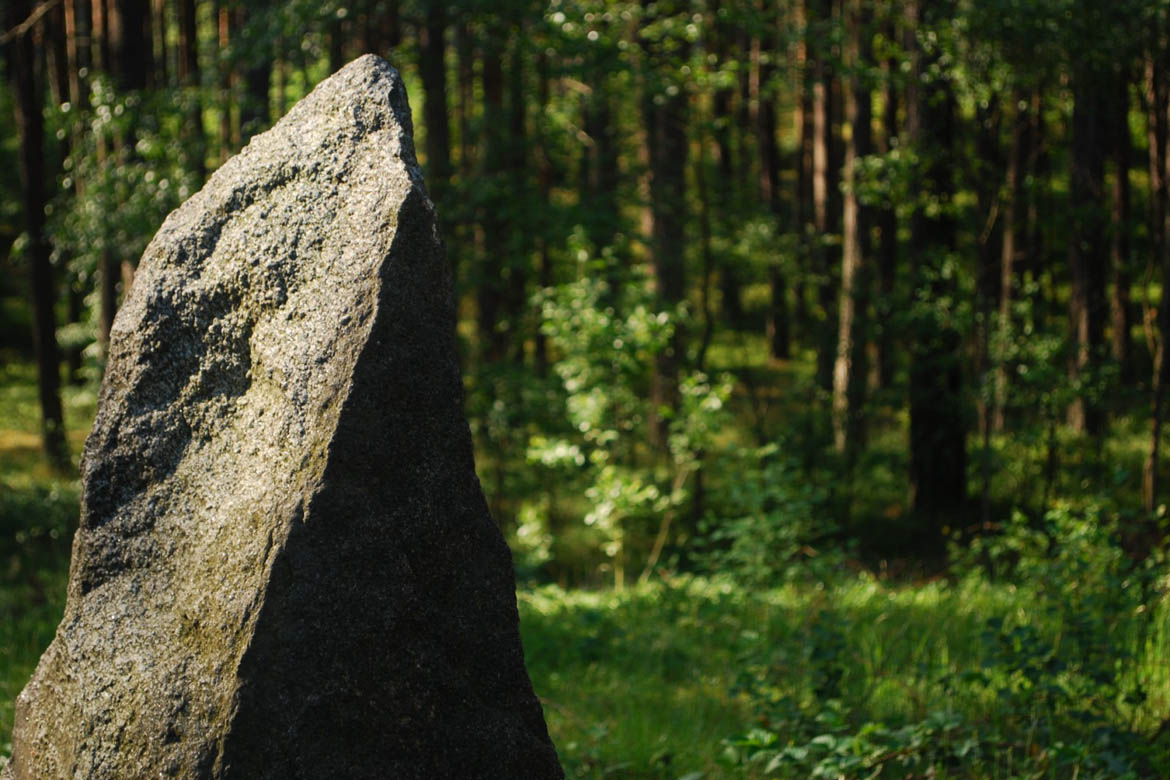 Pommerse Stonehenge - steencirkels en grafheuvels 