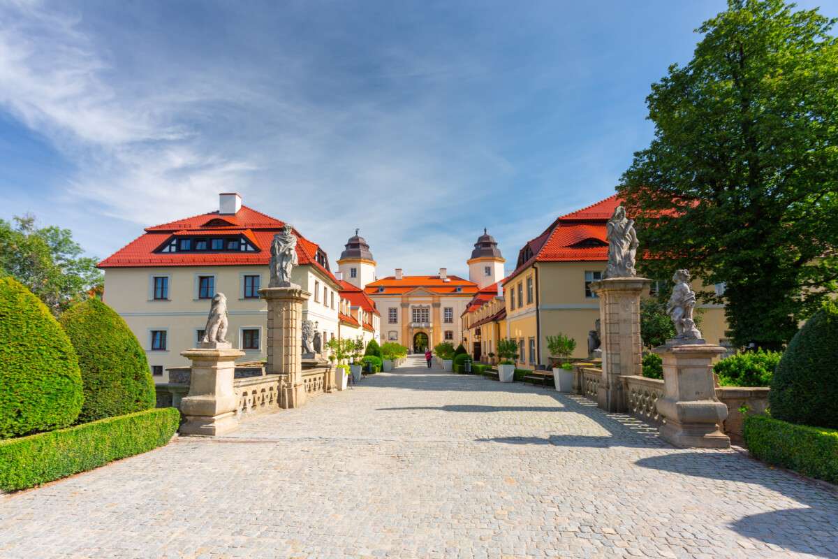 fot. Patryk Kosmider – stock.adobe.com