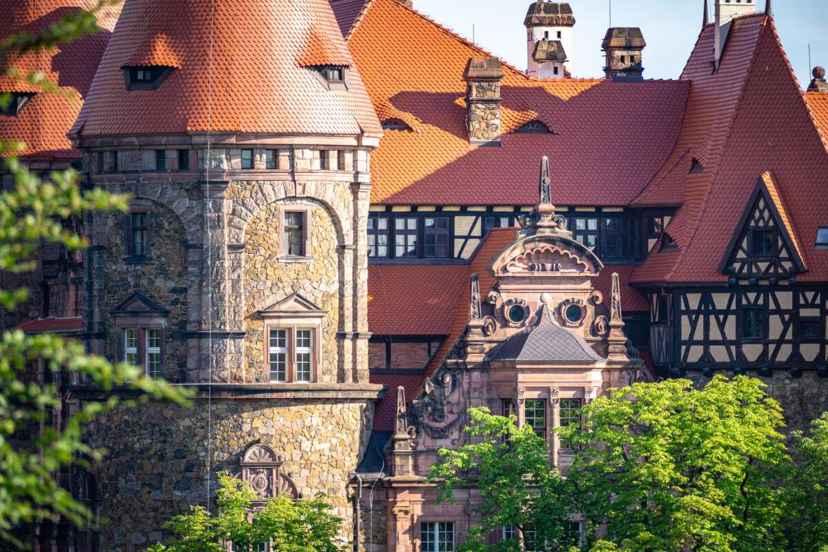 fot. Lukasz Czajkowski – stock.adobe.com