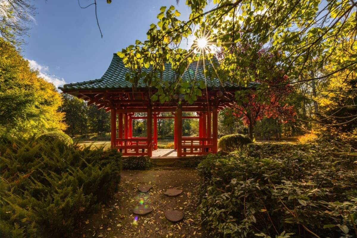 fot. Pałac Mierzęcin Wellness & Wine Resort