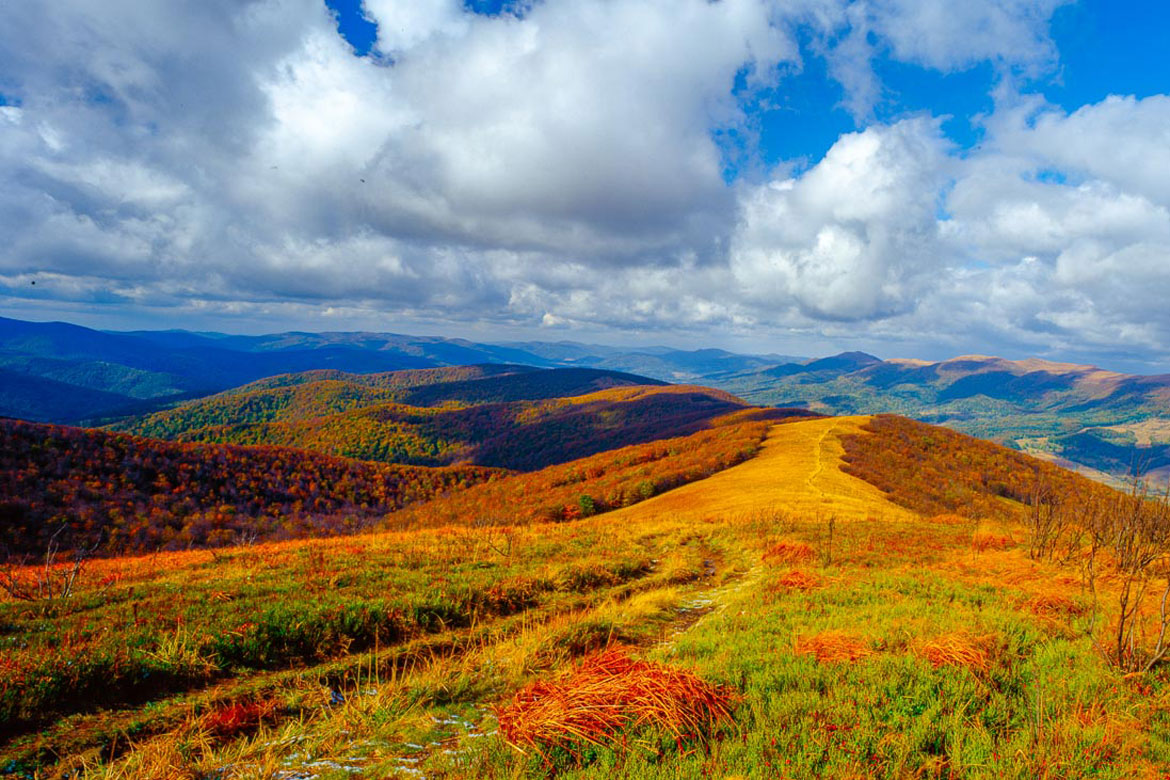 Podkarpacie regionen