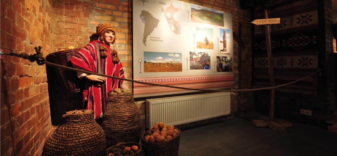 Kartoffelmuseet i Poznan!