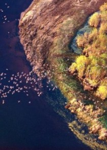 Natur i Podlasie Natur i Podlasie