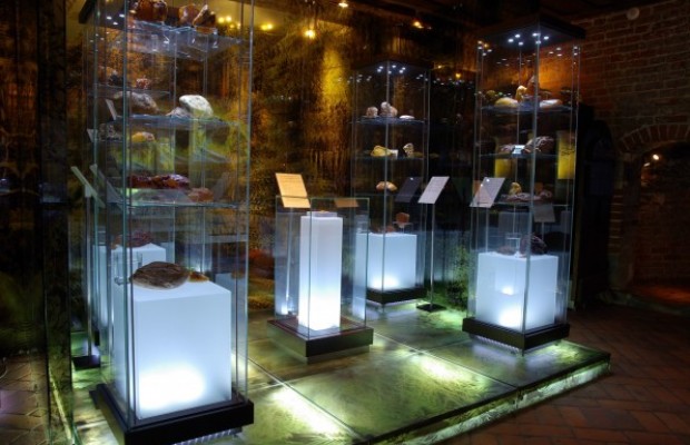 MHMG Muzeum Bursztynu Bursztyn w przyrodzie