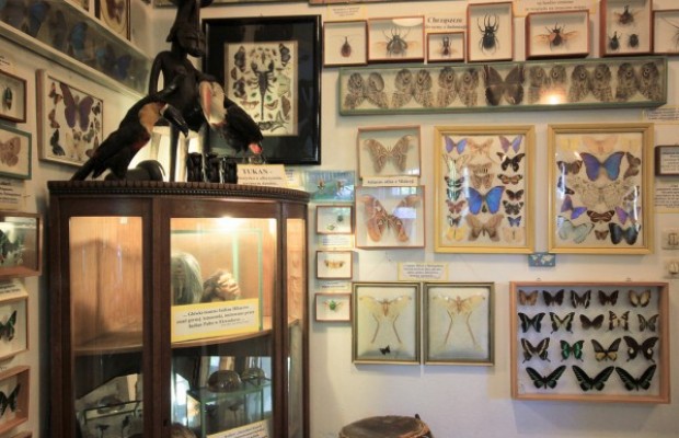 Muzeum Arkadego Fiedlera 139 Muzeum Arkadego Fiedlera 139