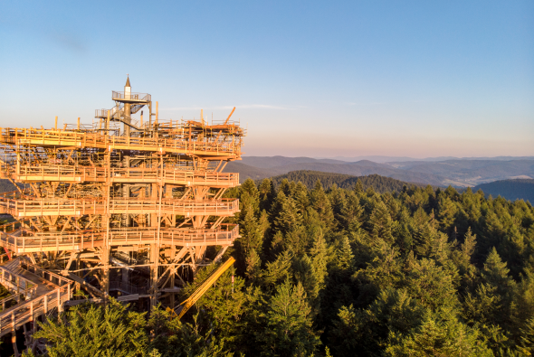 Polens første udkigstårn med en unik træstruktur blandt trækroner – i Krynica-Zdrój