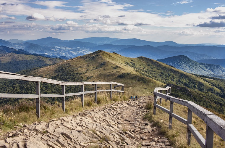 De actieve ontdekkers