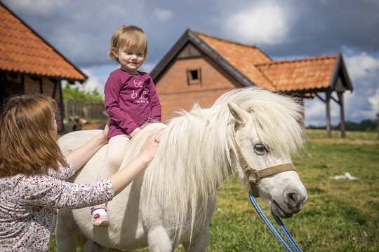 Galiny een plaats waar kleine kinderen kunnen paardrijden