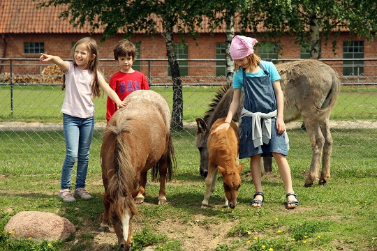 Ontmoet Galiny - een authentieke Poolse paardenboerderij!