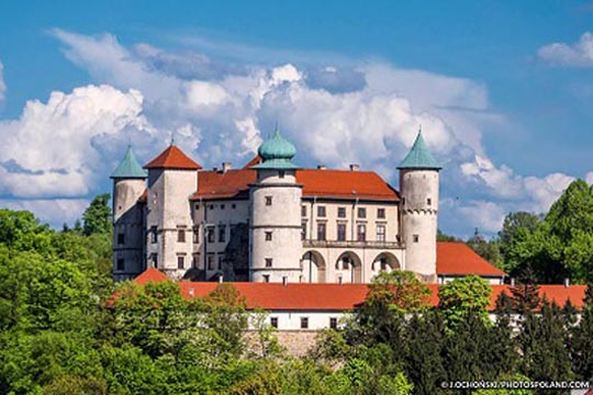 Het kasteel Wisnicz