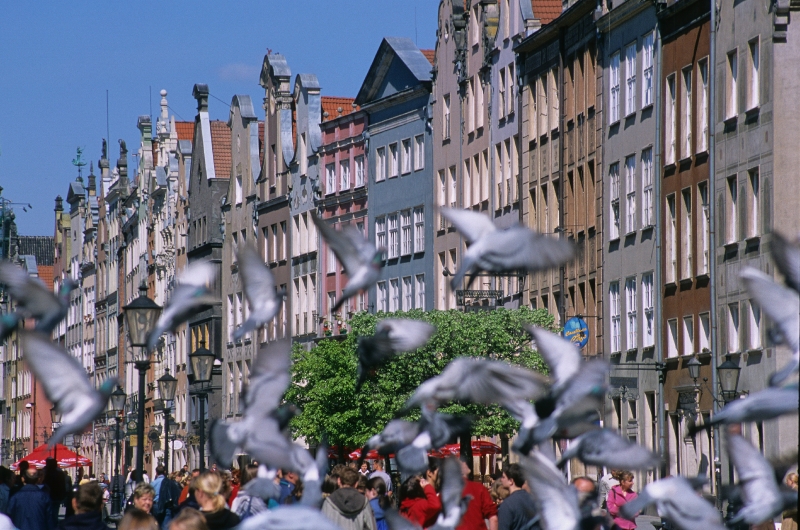 Gdansk Starowka TP 5783 20100611