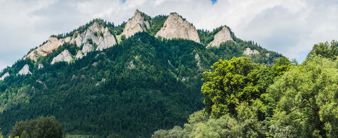 PIENINY DRIE KRONEN