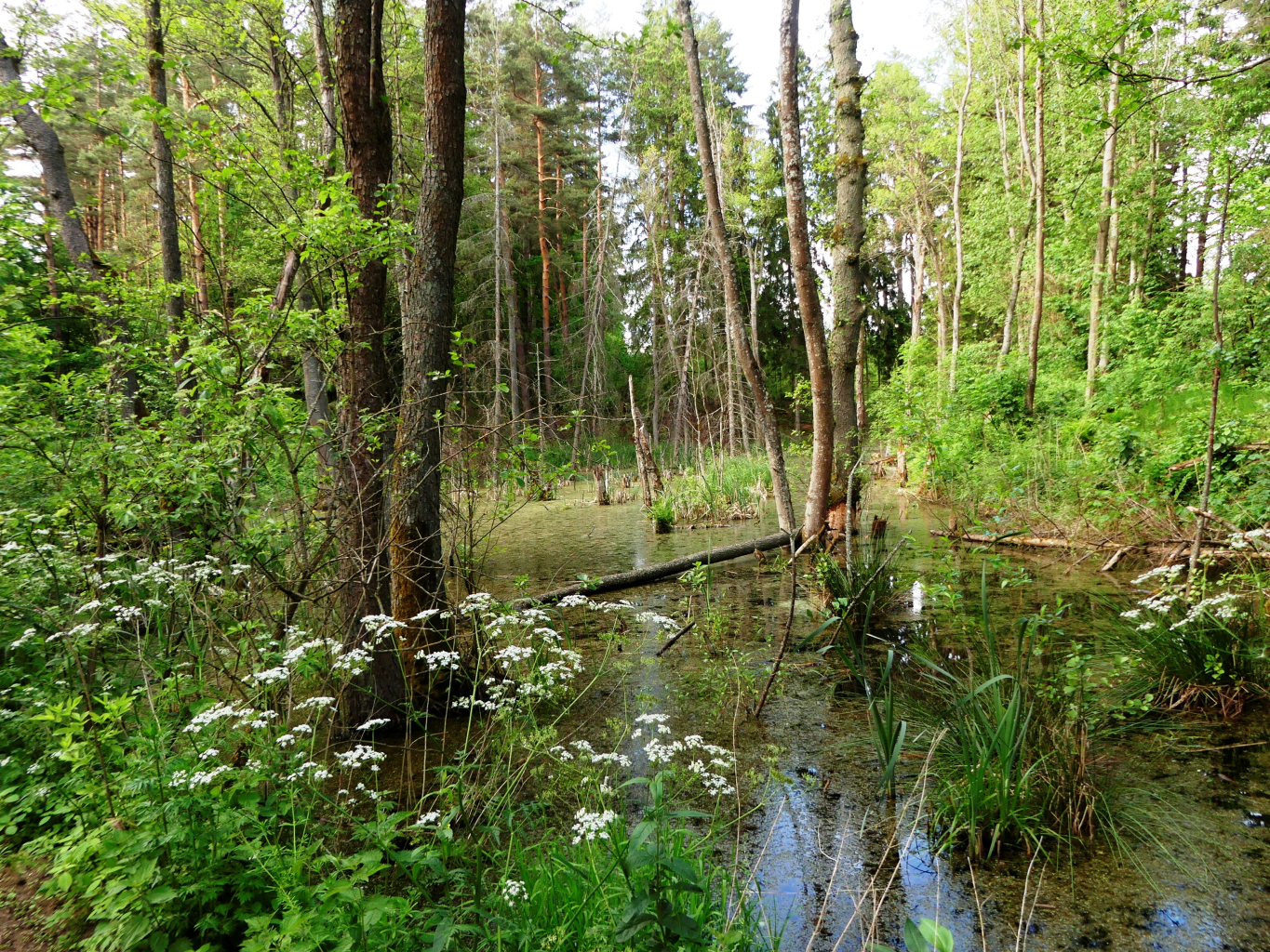 Polen op de Fiets en Wandelbeurs 2026 in Gent