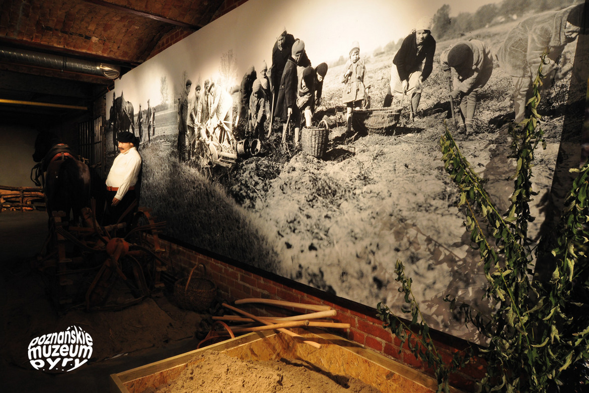 Een nieuwe attractie in Poznań– het Poznań Pyra-museum