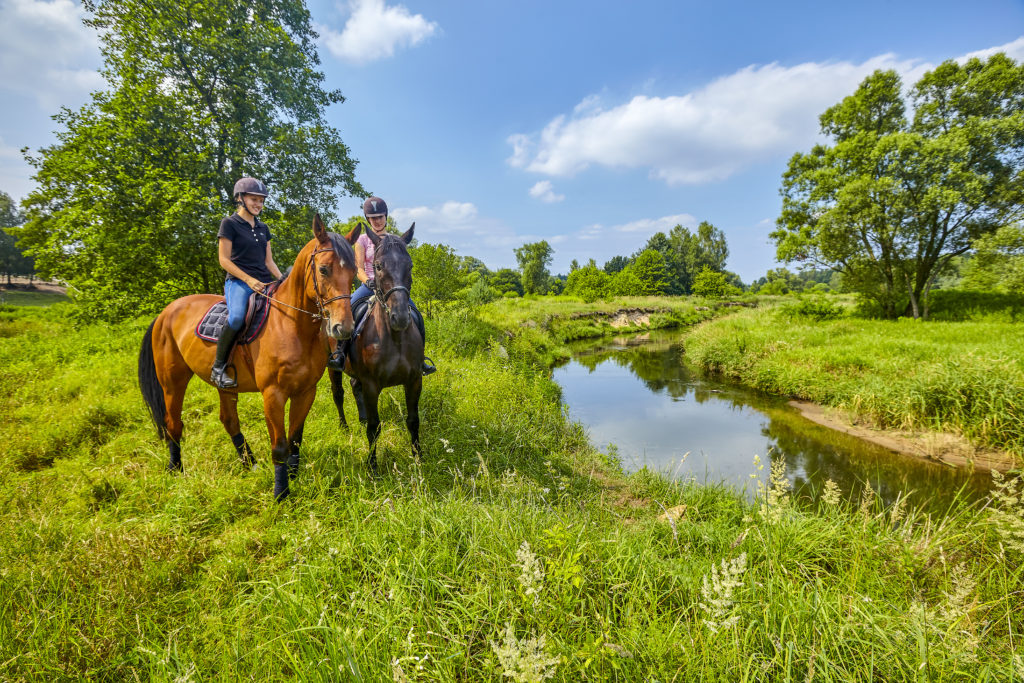 Paardrijden in Polen