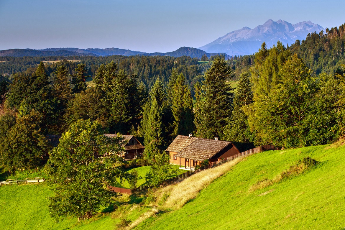 Beskid Sądecki Niemcowa IMG_3775a - kopie.jpg