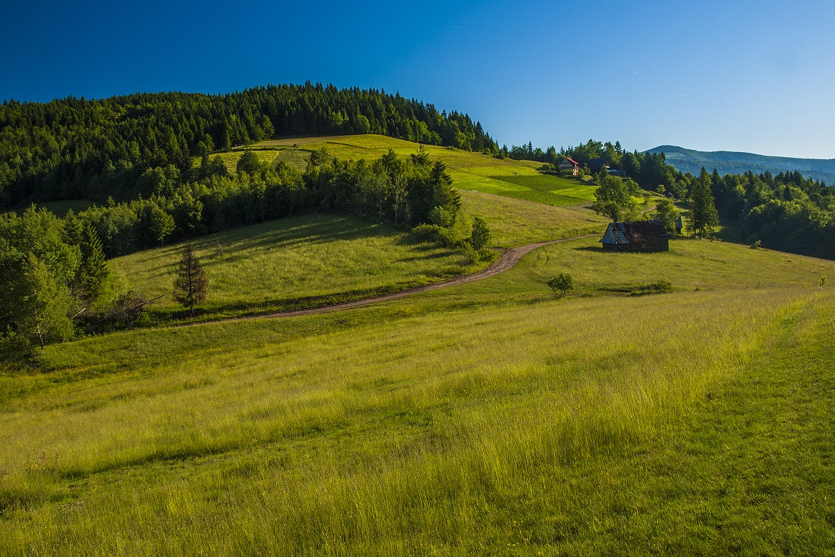 Beskid Wyspowy W.Baron (8) - kopie.jpg