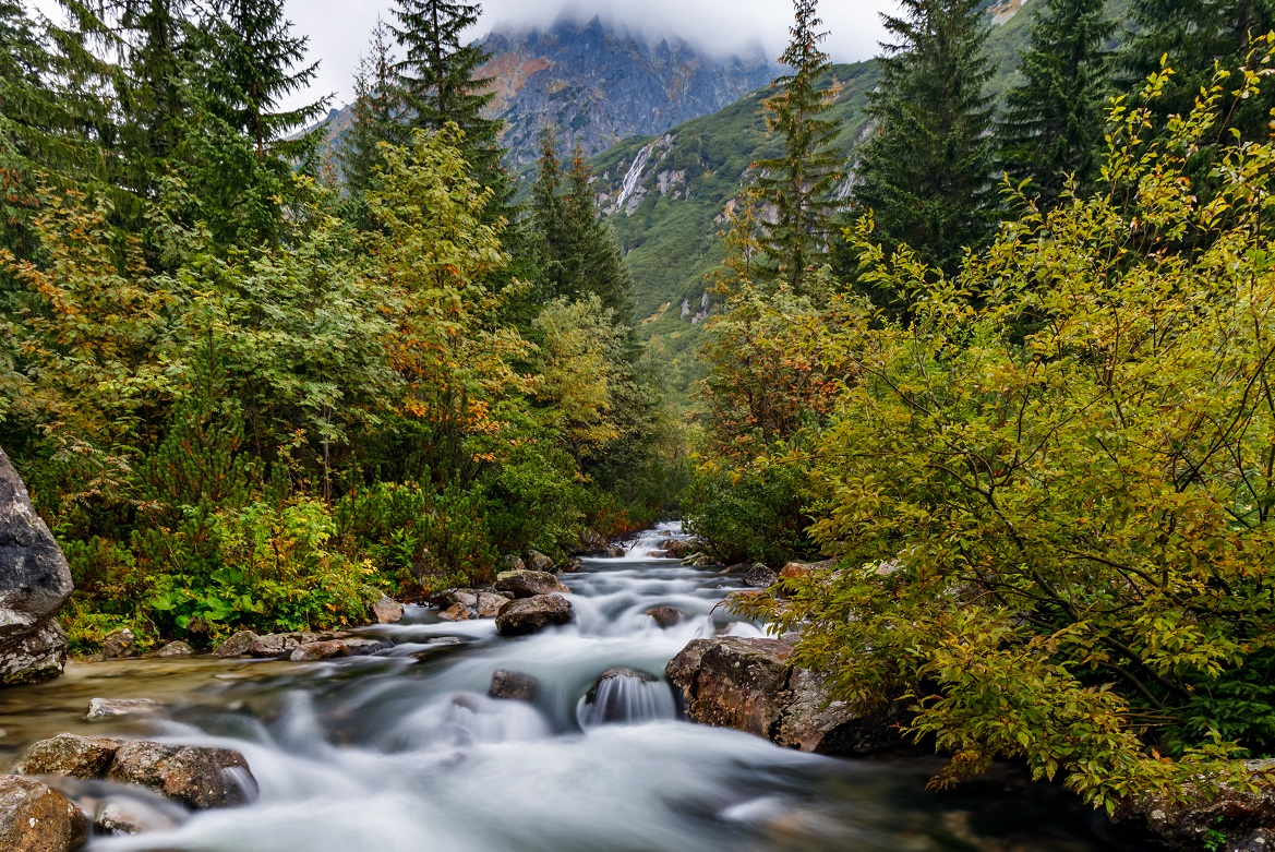 Tatry - Dolina Roztoki 09142017_0W1A0014-HDR.jpg