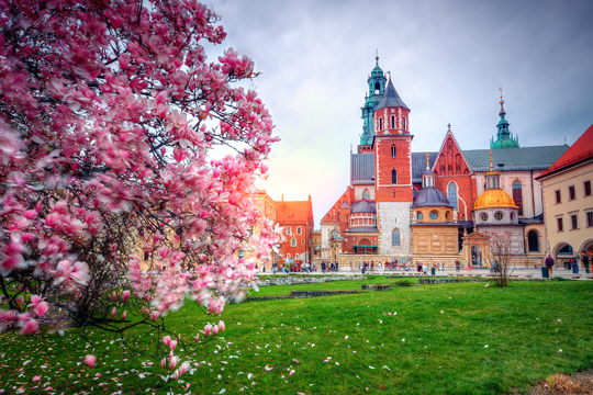 Wawel – het kasteel als nationaal symbool