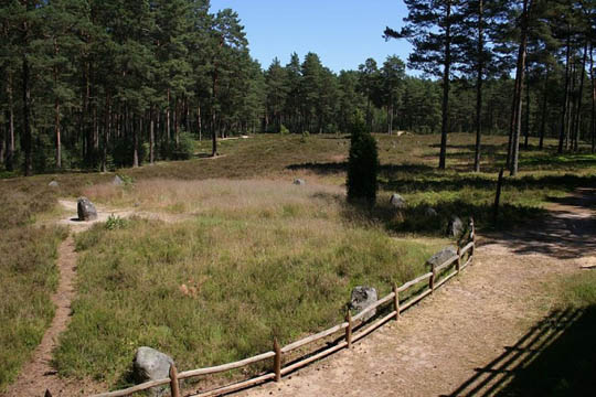 De archeologische site van de “Stenen Cirkels”  in Tucholskie bossen