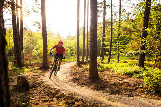 Aktiv turisme i Polen