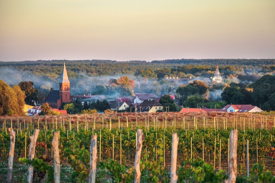 Zielona Góra – Den polske vinhovedstaden