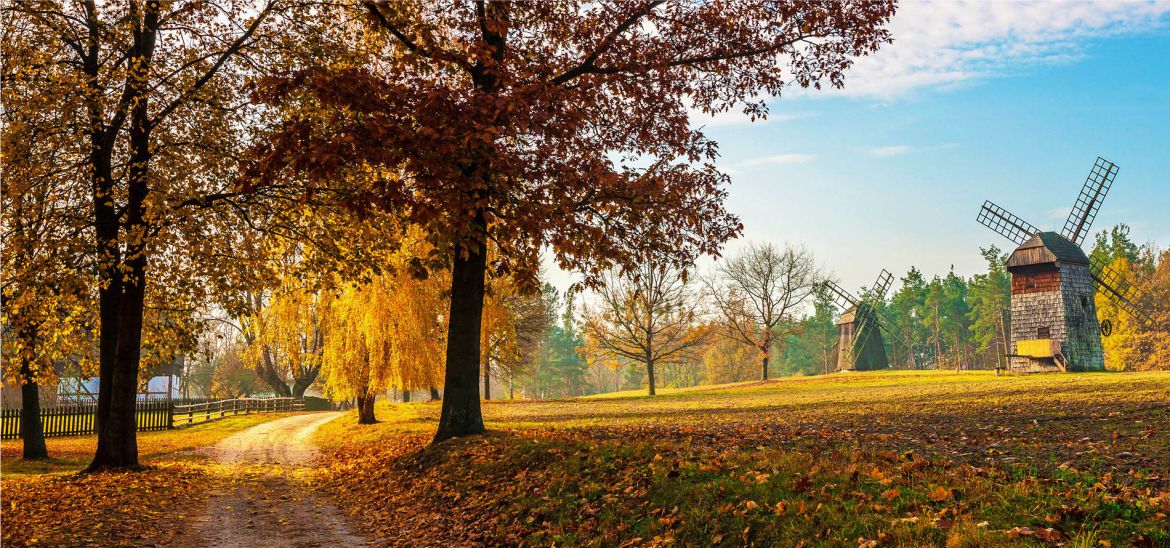 En gyllen, polsk høst