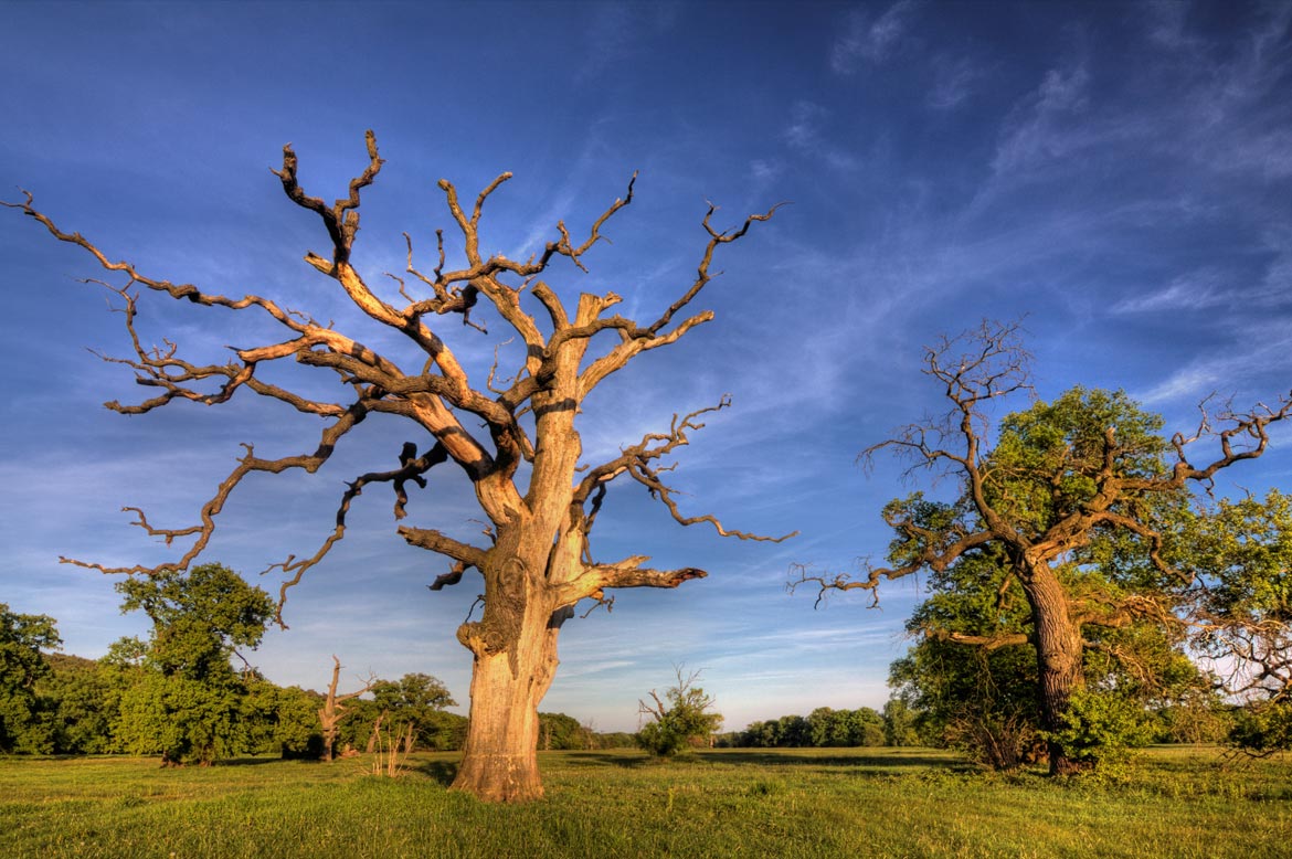Wielkopolska-regionen – Store lille Polen