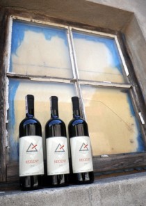 210-296_2013_Butelki regent_okno.jpg