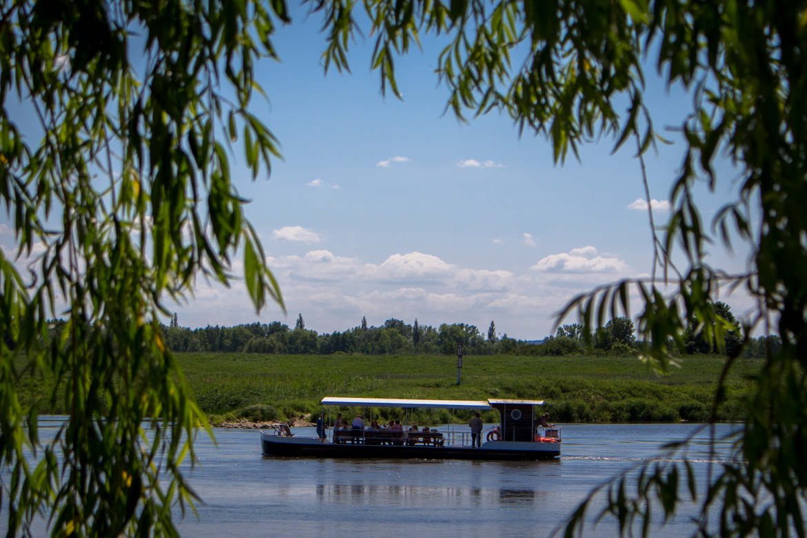 sightseeingturer på floden Odra