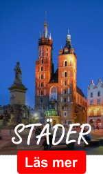 stader