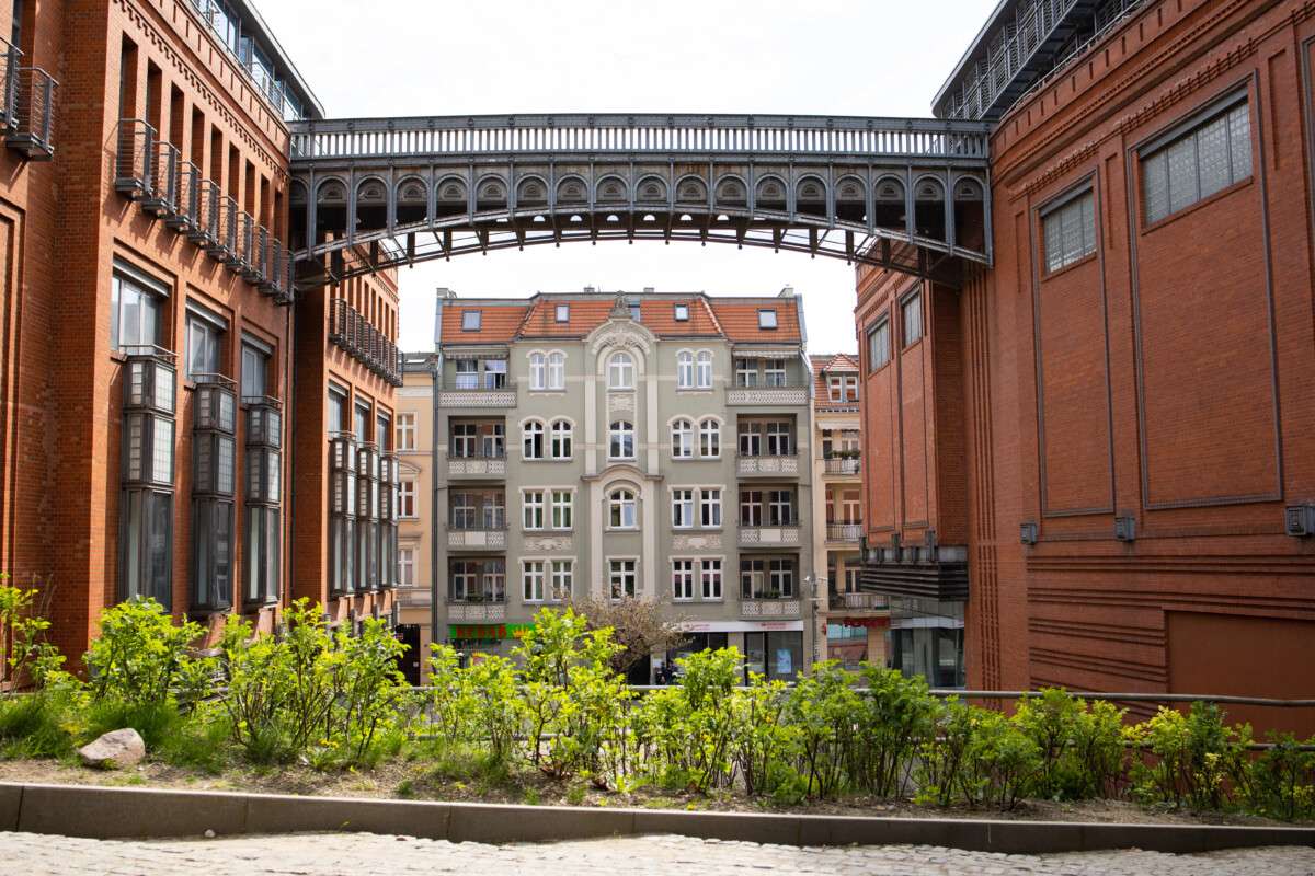 fot. elifilm – stock.adobe.com