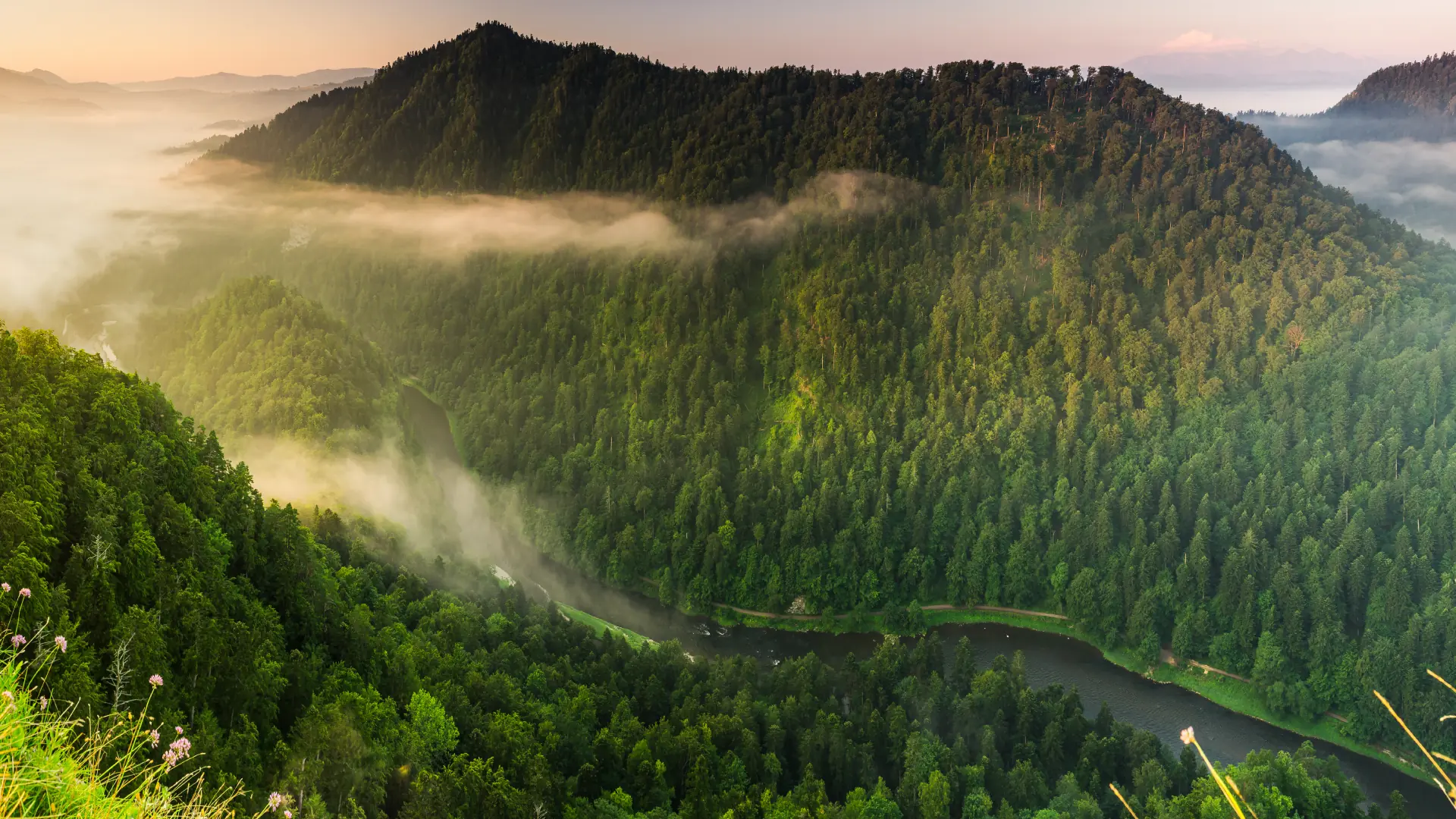 Forsränning i Dunajec-ravinen