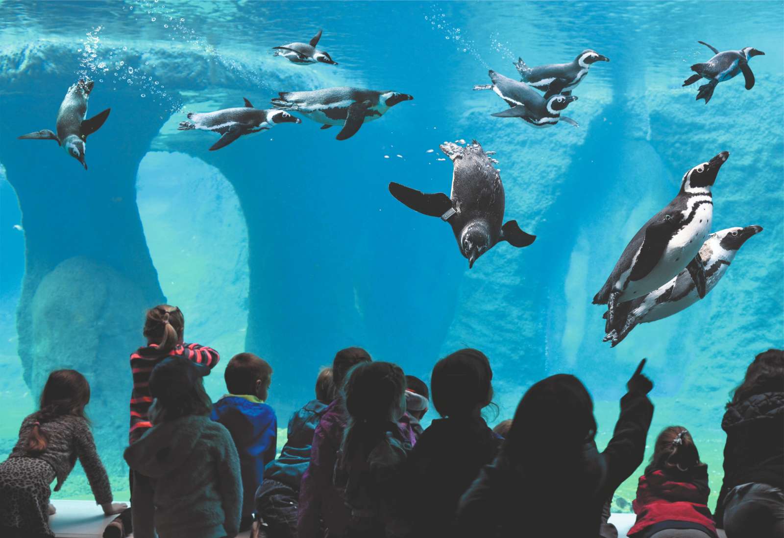 ZOO Wrocław