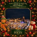 Upplev julmagin i Polen
